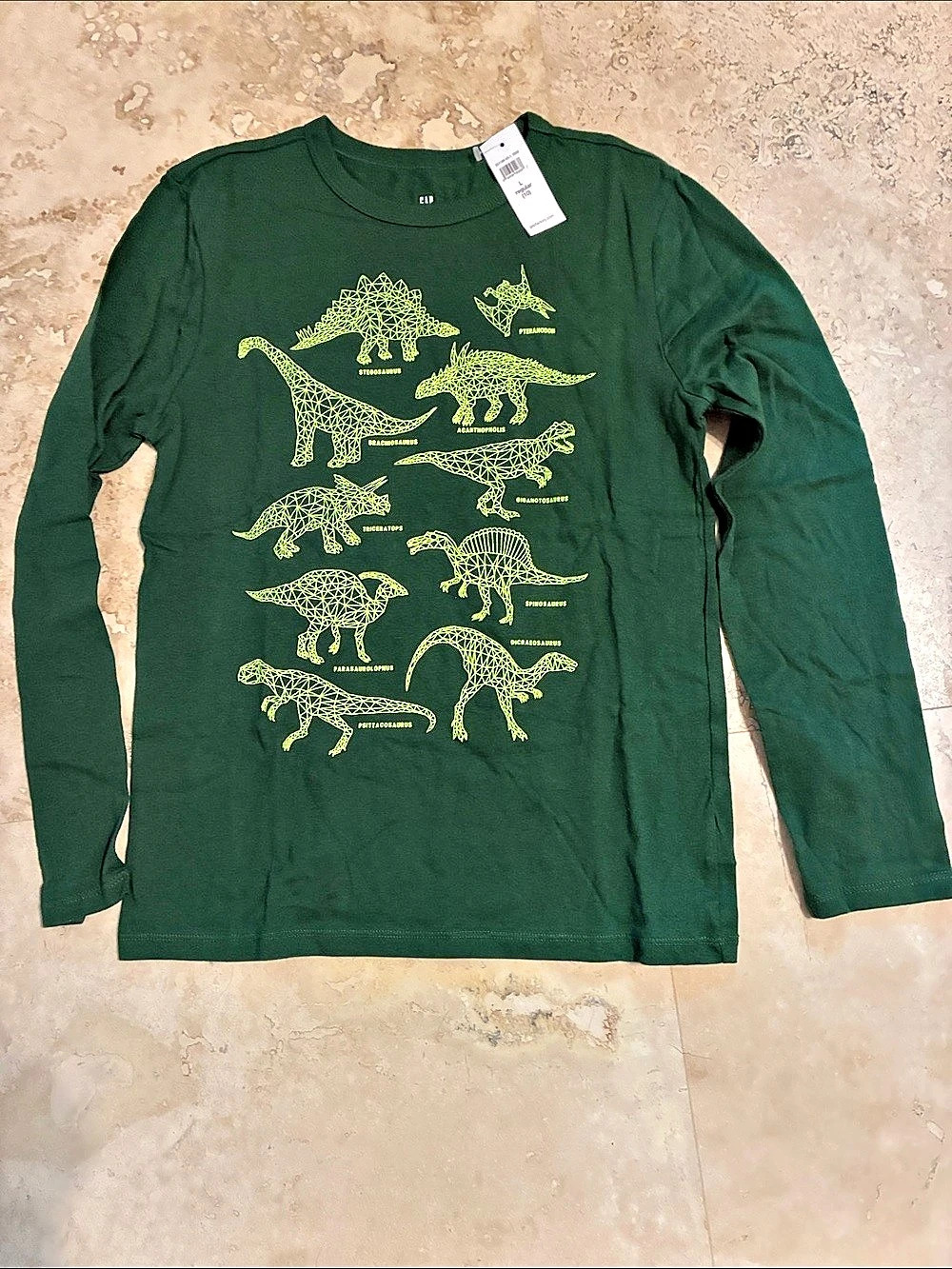 NWT! Gap Dinosaur Graphic Long Sleeve Tee Boys Large